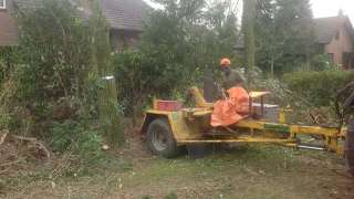 uitfrezen van eiken stronken in berkel enschot